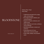 Bloodstone - Necklace