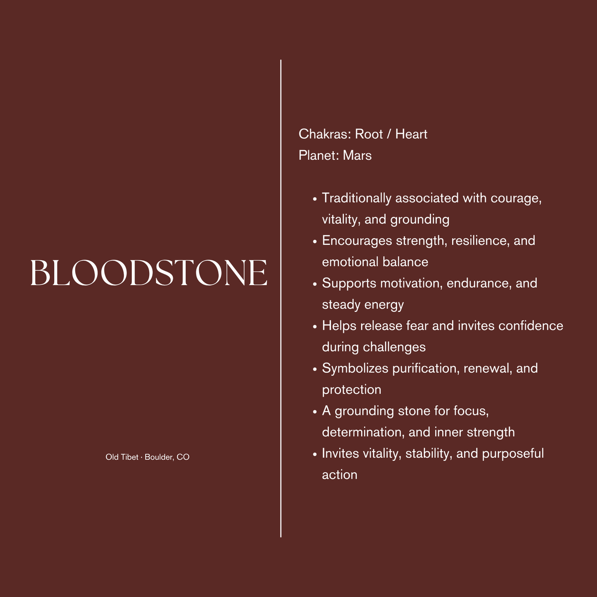 Bloodstone - Necklace