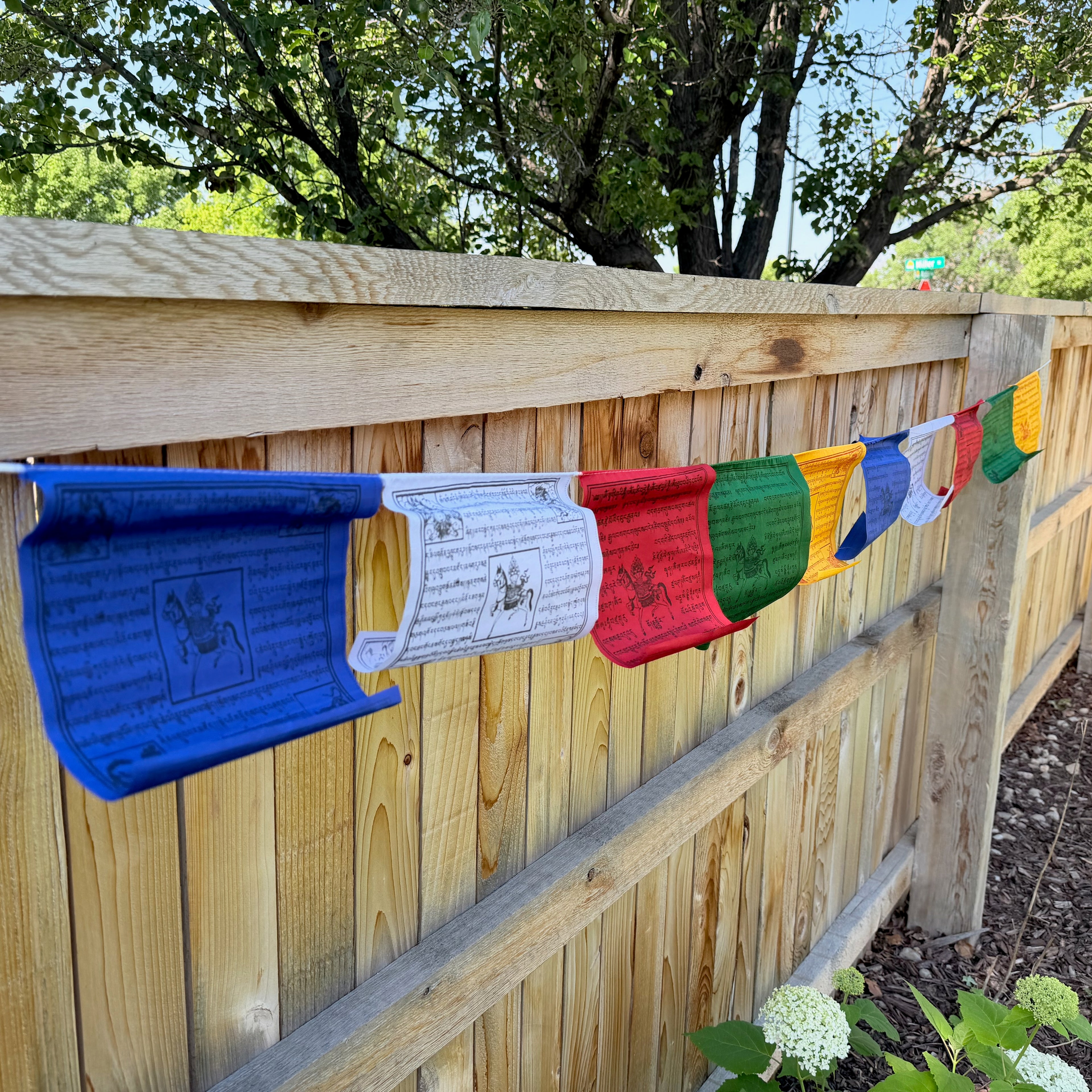 Tibetan Prayer Flag